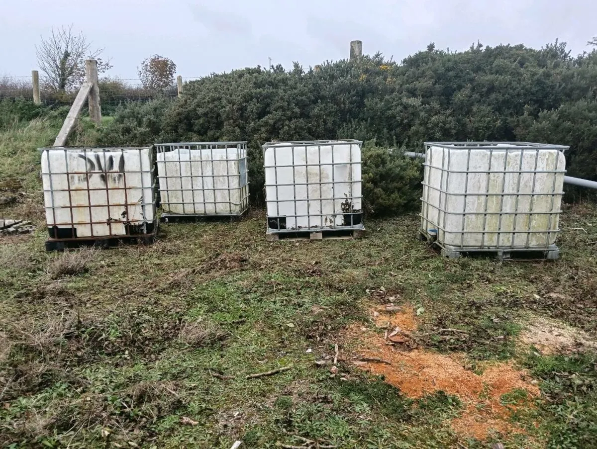 IBC cubes - Image 1