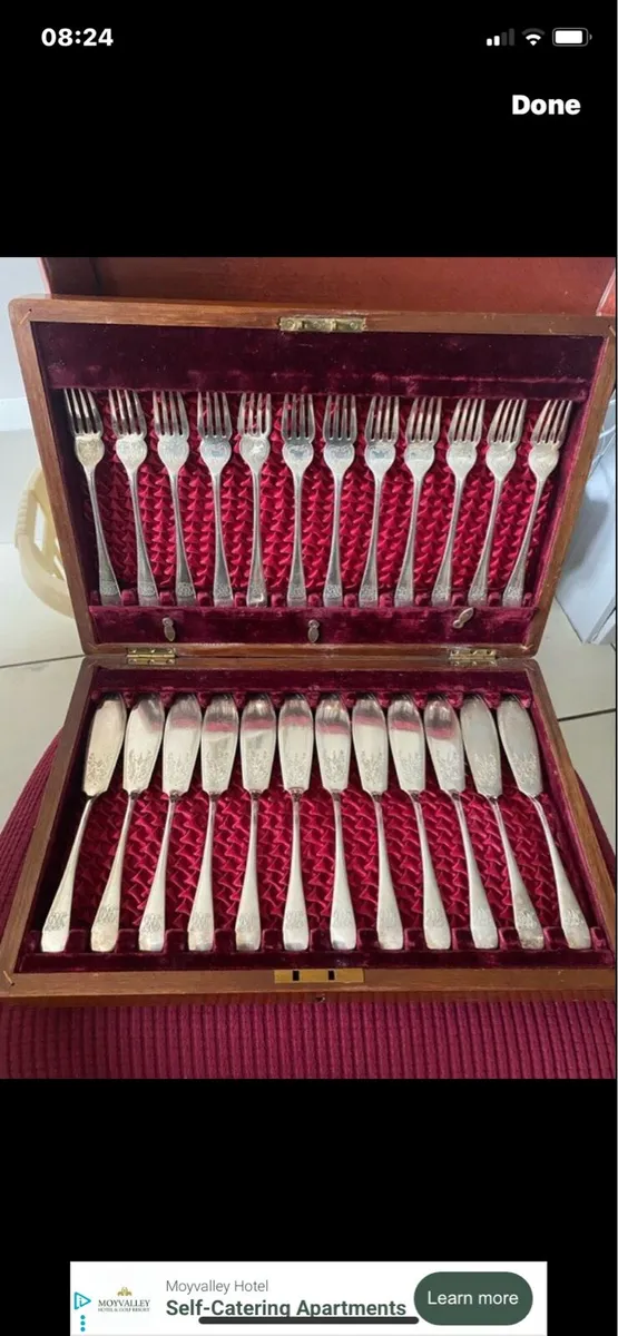 Antique 24 Piece boxed Fish Set - Image 1
