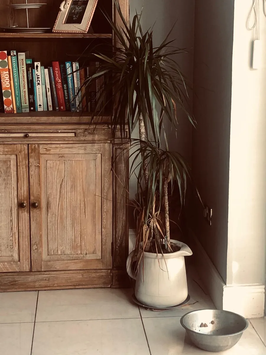 Book case cabinet with ladder - Image 2