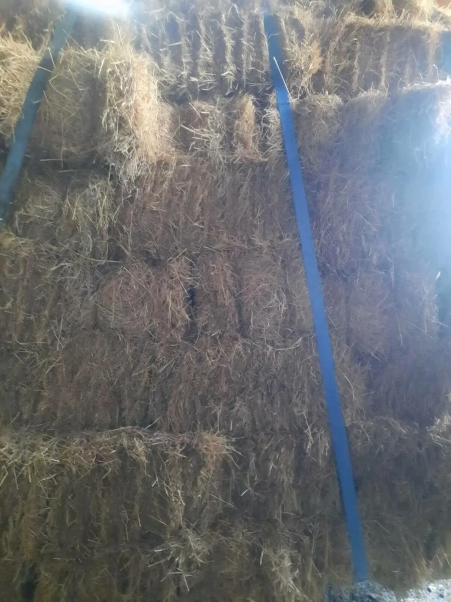 Square bales off good quality hay - Image 2