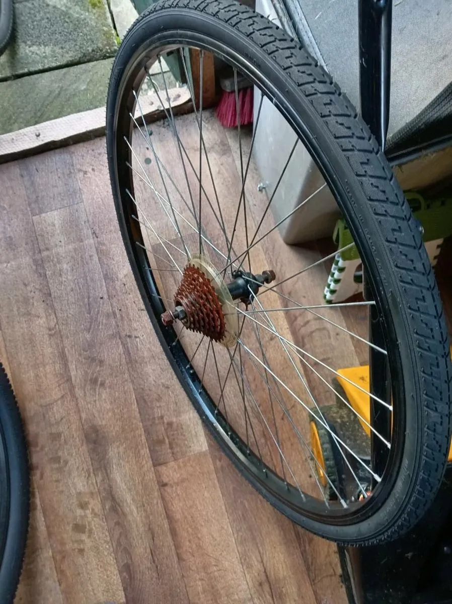 700x back bicycle wheel