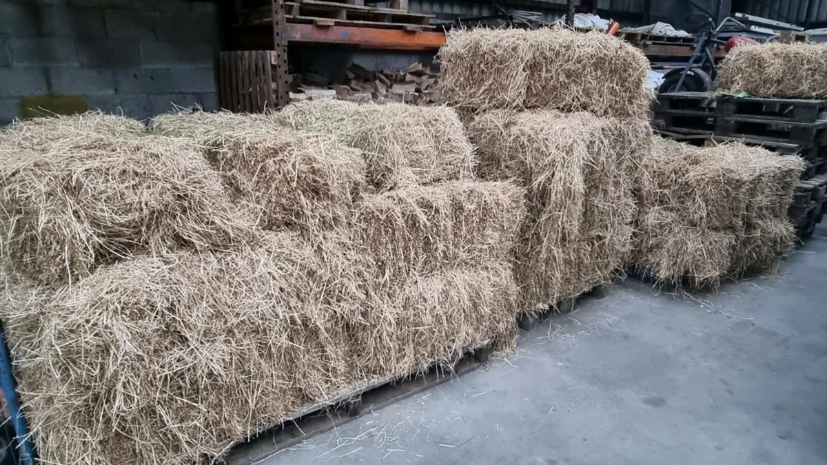 Hay Bales For Sale