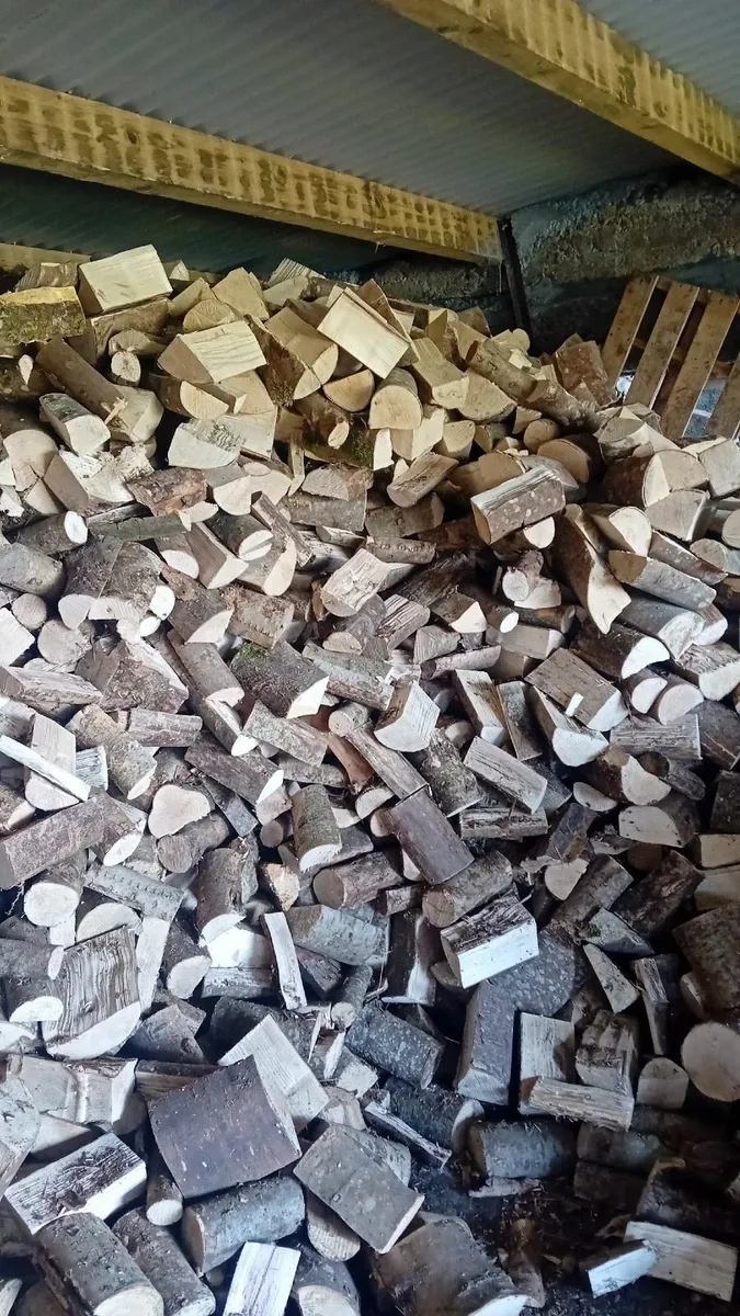 Firewood and Coal 🔥🔥 - Image 4