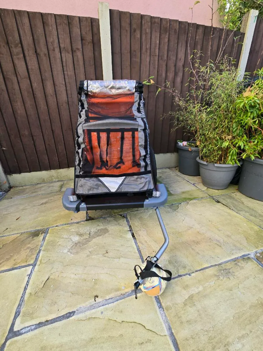 Kids Bike Buggy - Image 1