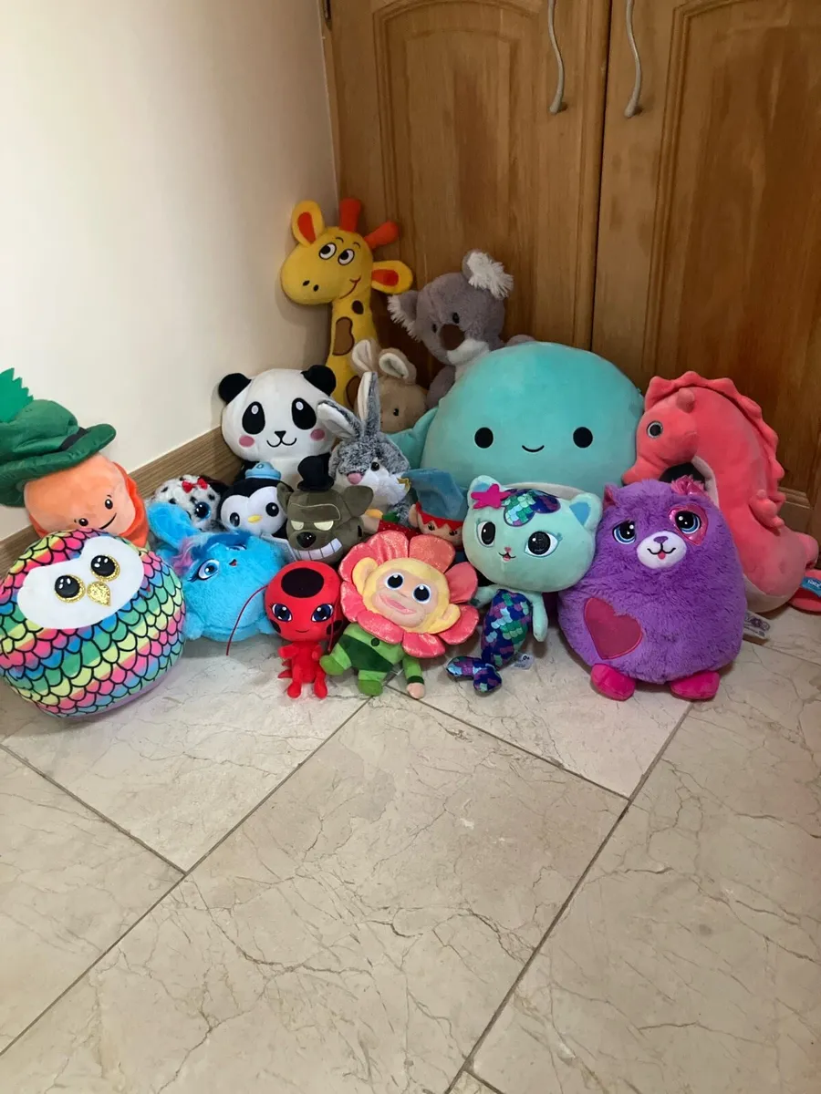 Teddy collection
