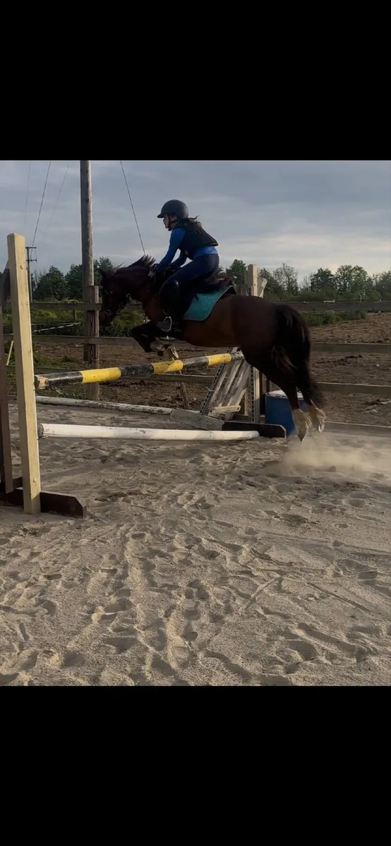 128 pony - Image 1