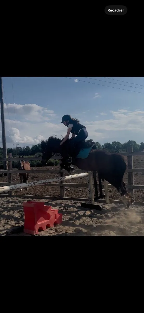 128 pony - Image 2