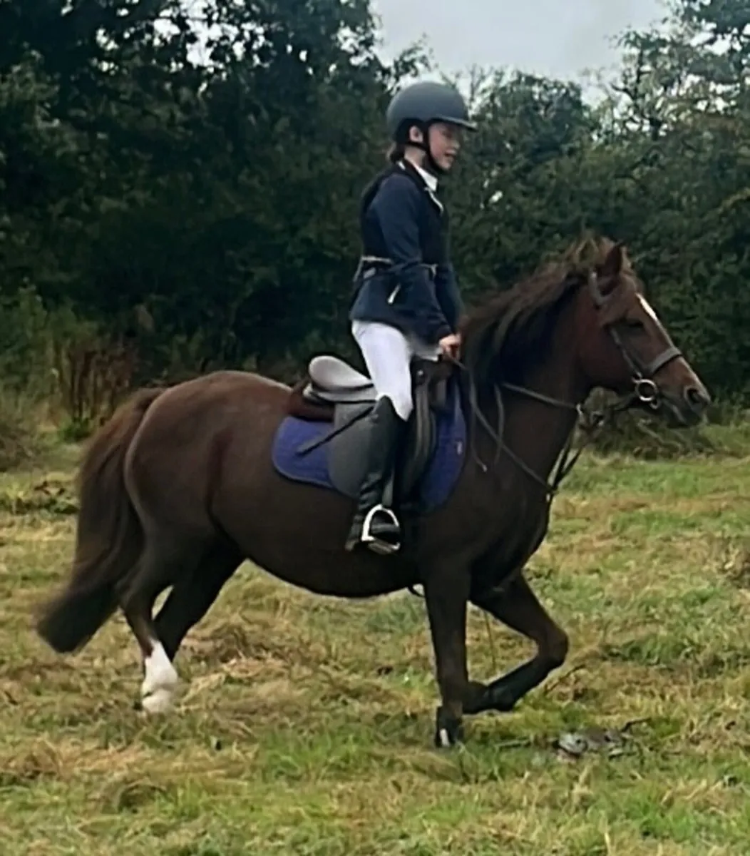 128 pony - Image 3