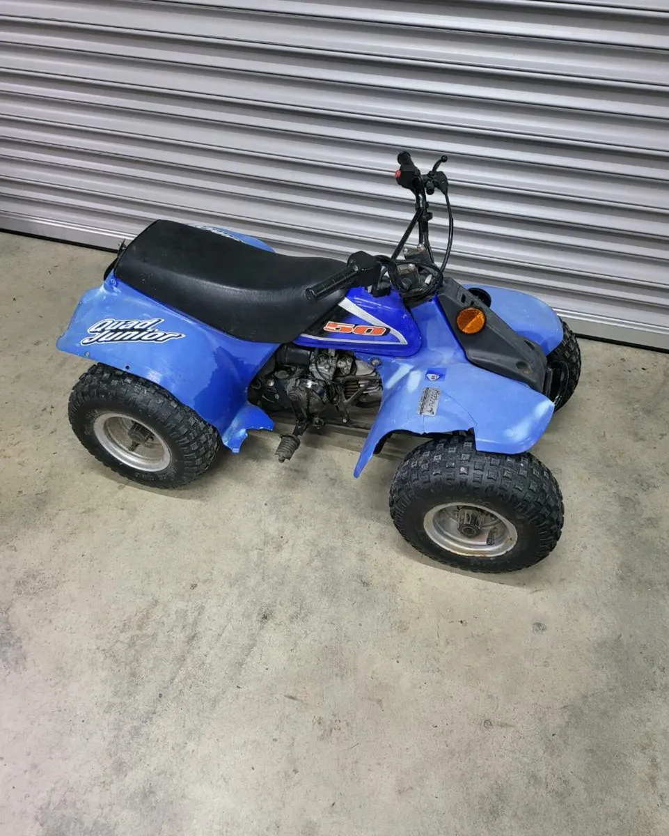 Kids Quad 50cc LT - Image 2