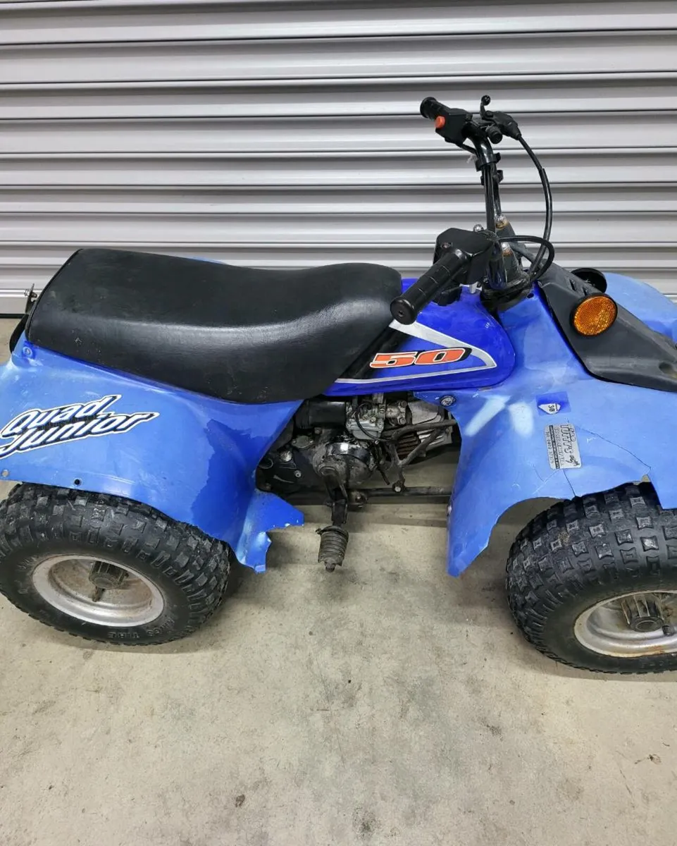 Kids Quad 50cc LT - Image 3