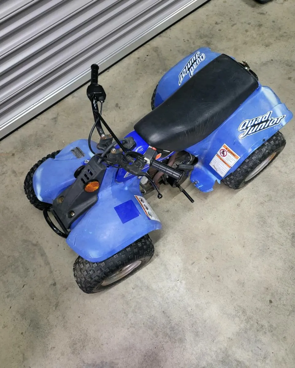 Kids Quad 50cc LT - Image 4