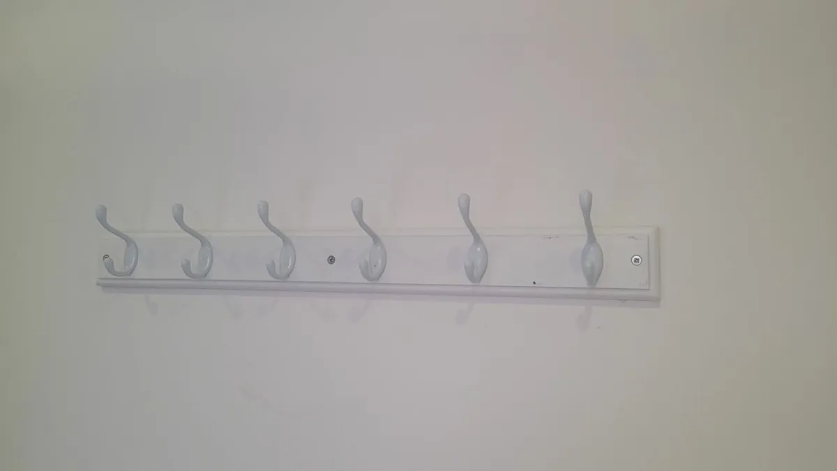 Wall mounted coat hooks