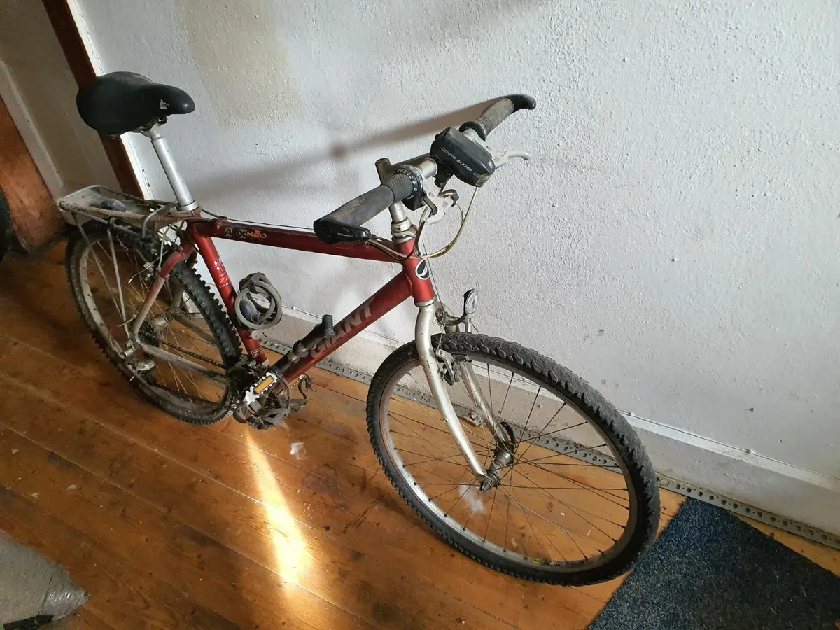 Bicycles - Image 3