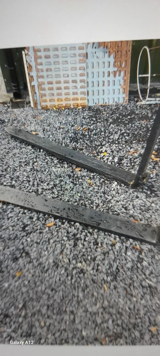 Forklift arms - Image 4