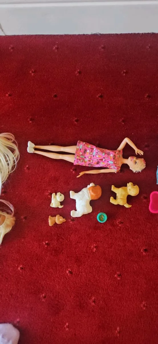 Barbies & assorted accessories - Image 4