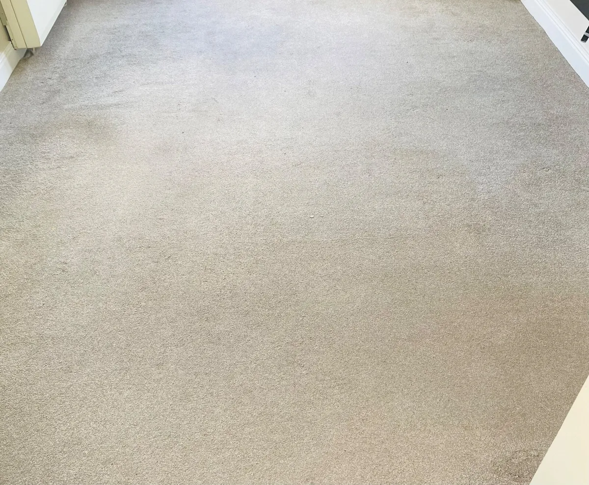 Carpet