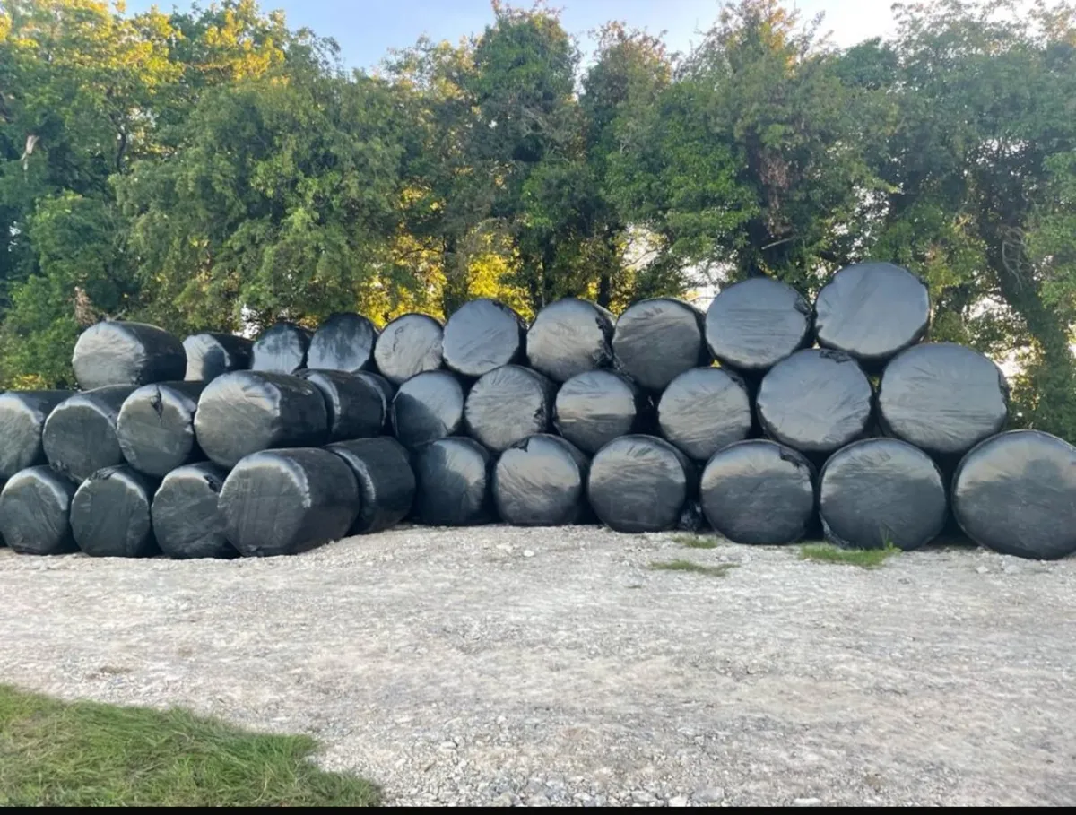 Top Quality Haylage