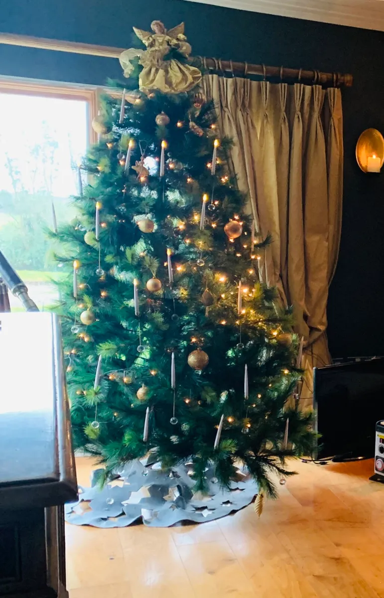 Christmas trees - Image 1