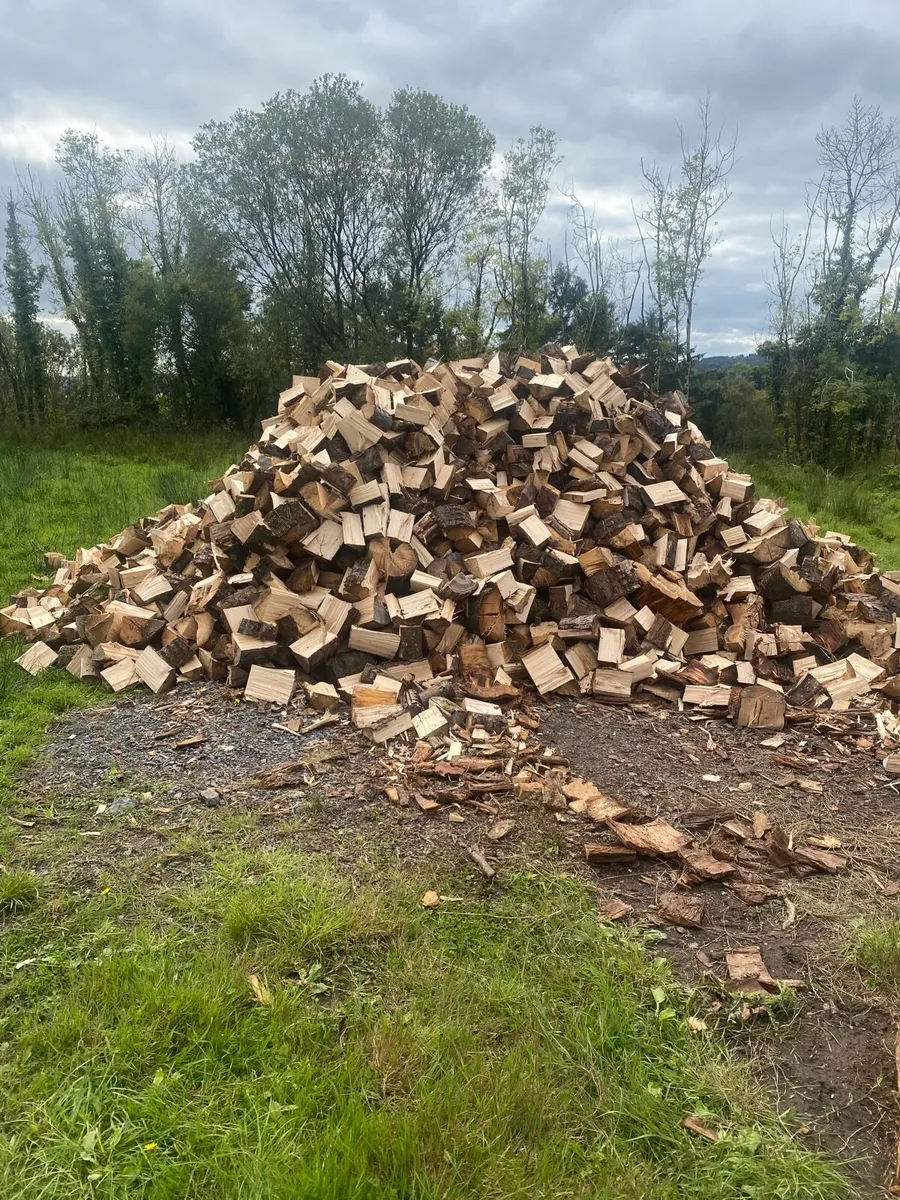 Split firewood - Image 1
