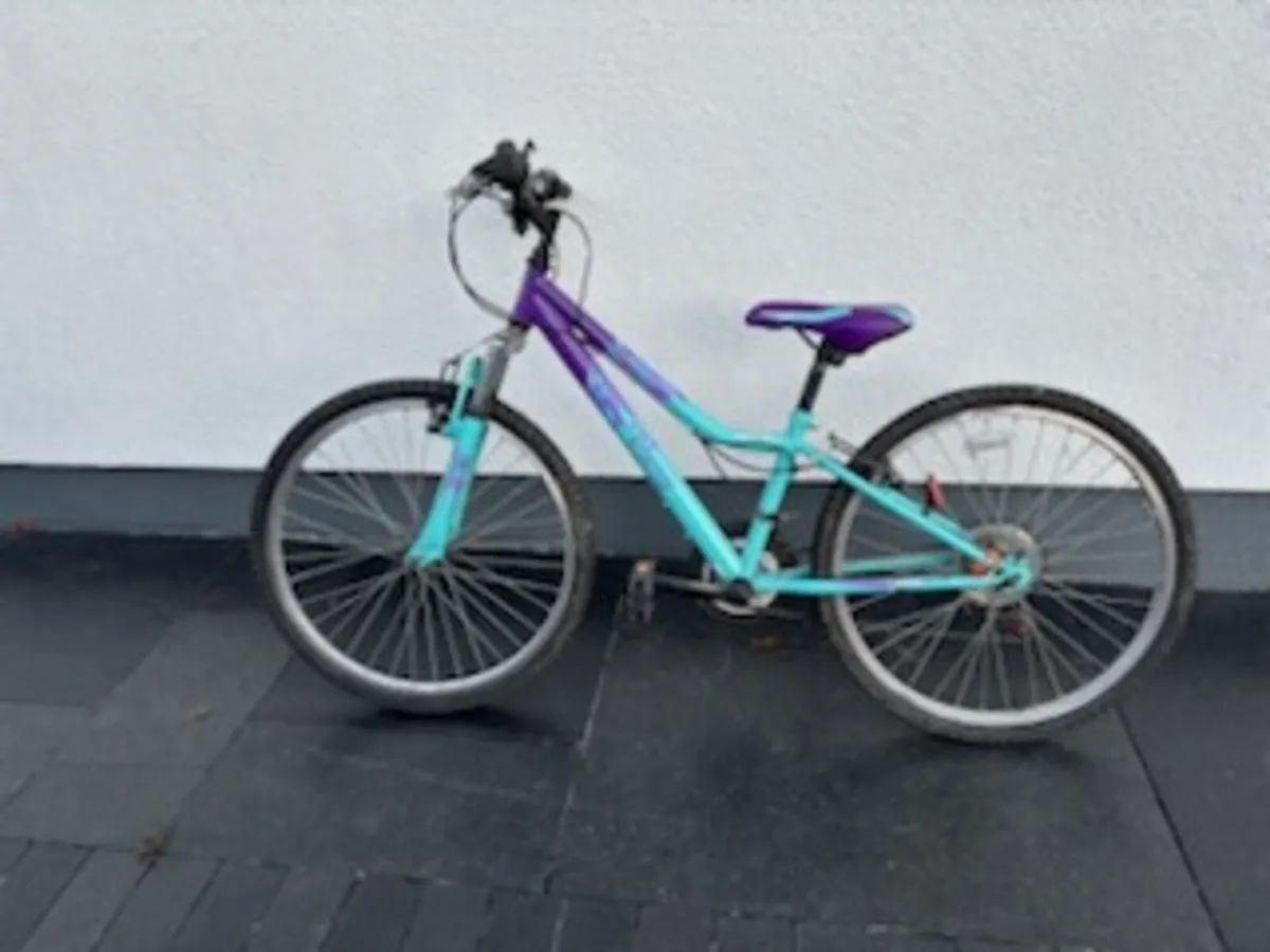 Two Girls’ Bikes for Sale (Ages 6–11) - Image 1