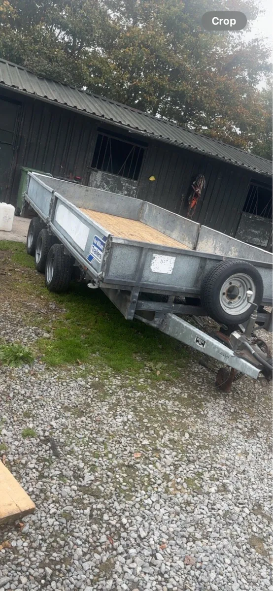 Iforwilliams trailer - Image 1