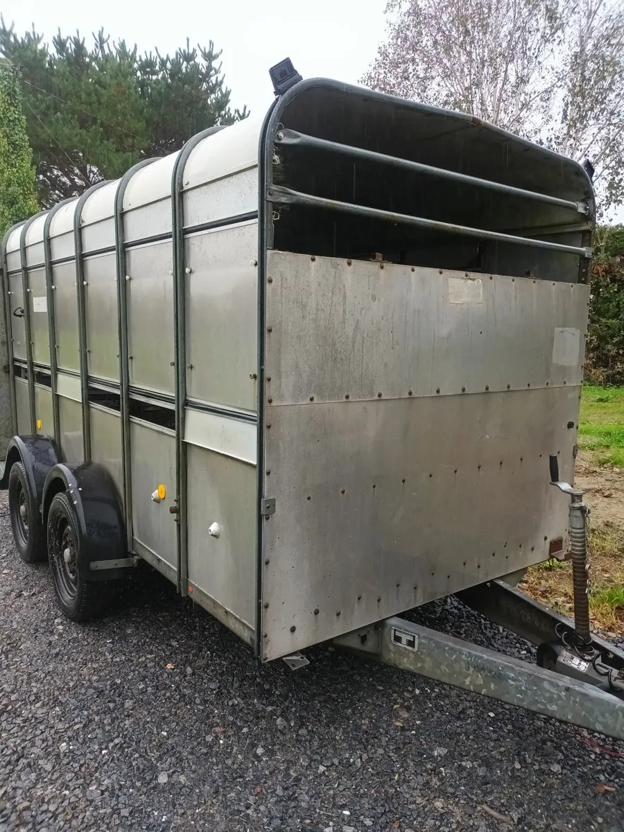Cattle Trailer - Image 2