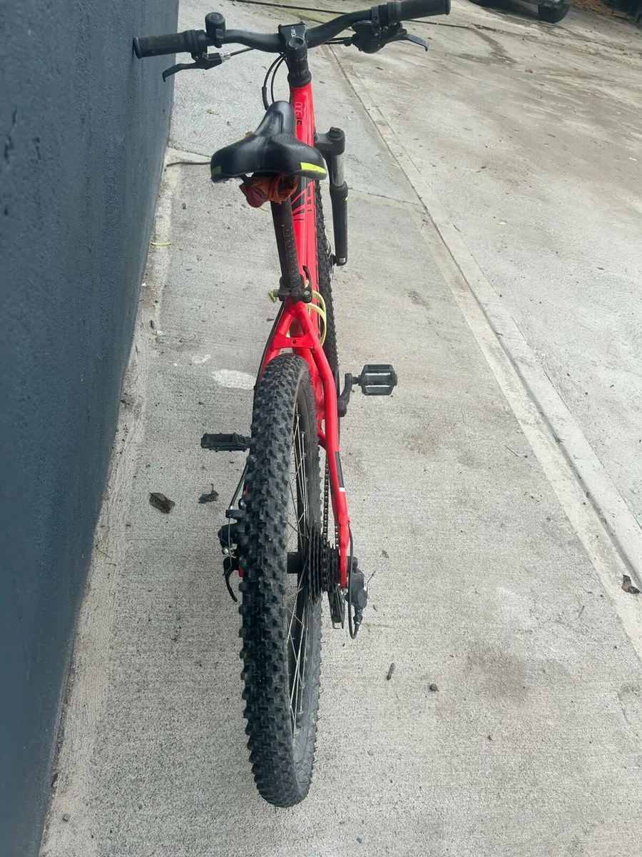Bike - Image 4