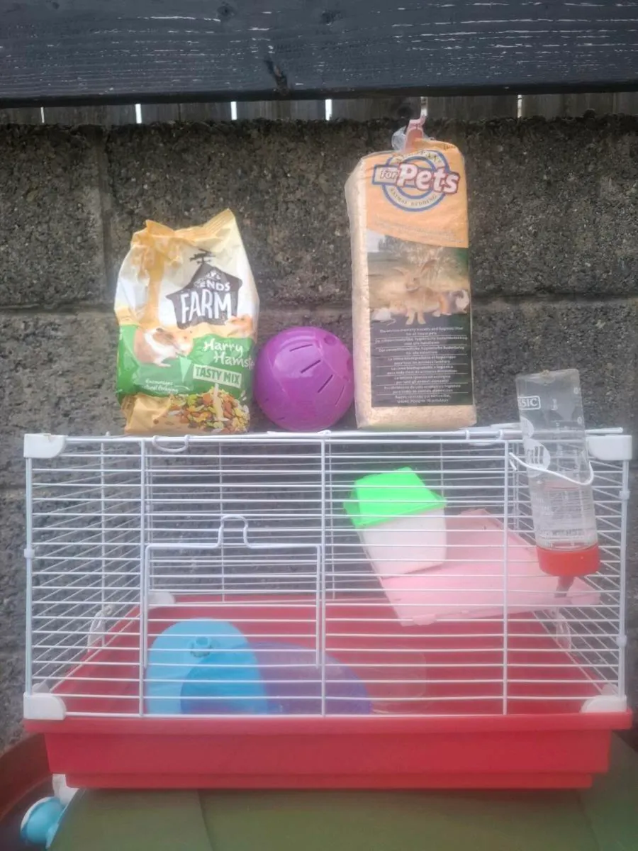 Hamster cage and accessories