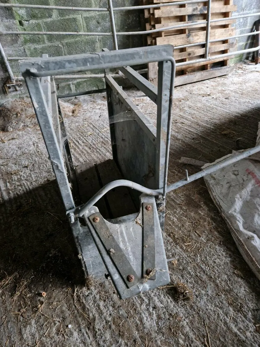 Dehorning crate - Image 1
