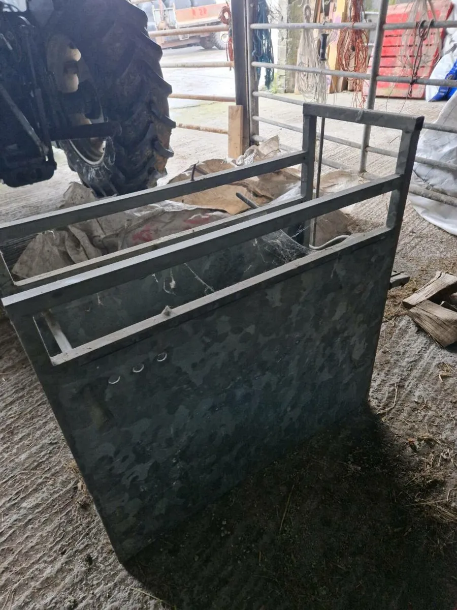 Dehorning crate - Image 2