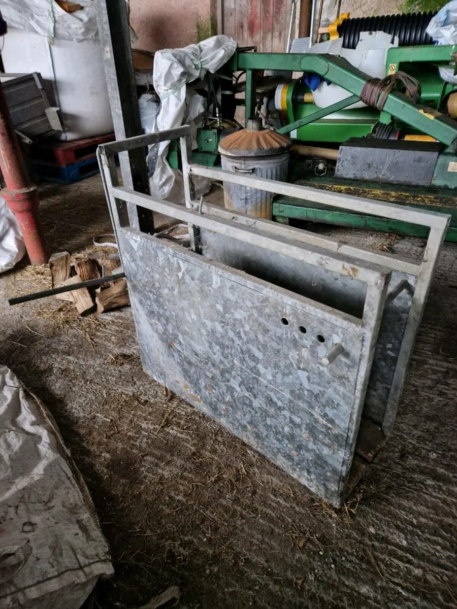 Dehorning crate - Image 3