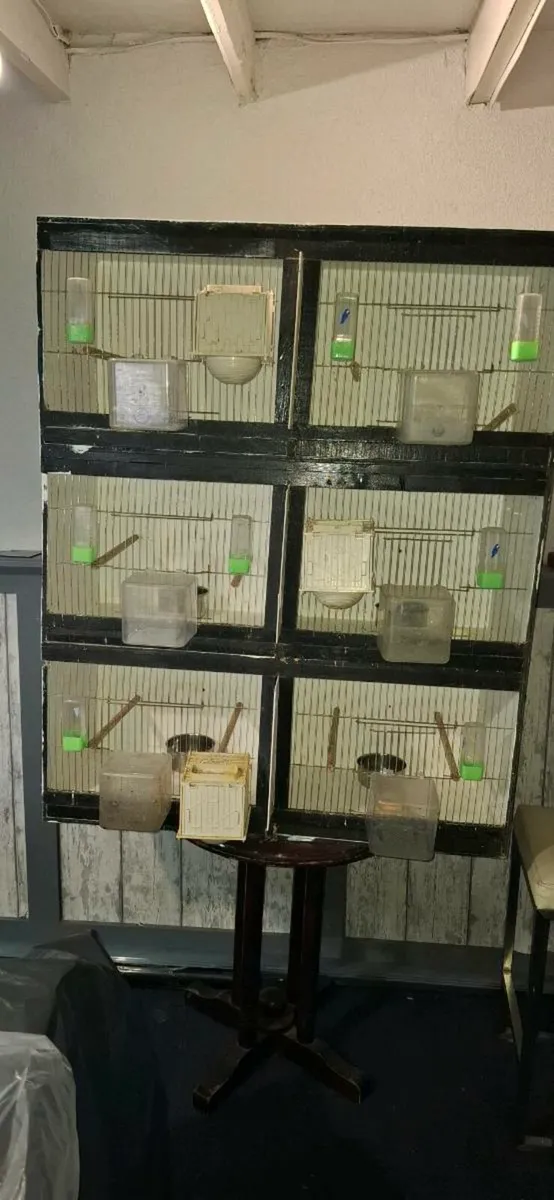 Breeding cages - Image 1