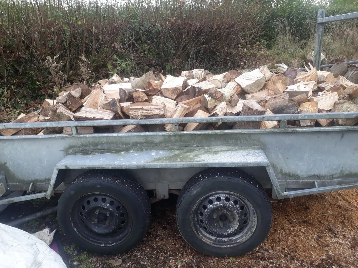 Firewood - Image 1