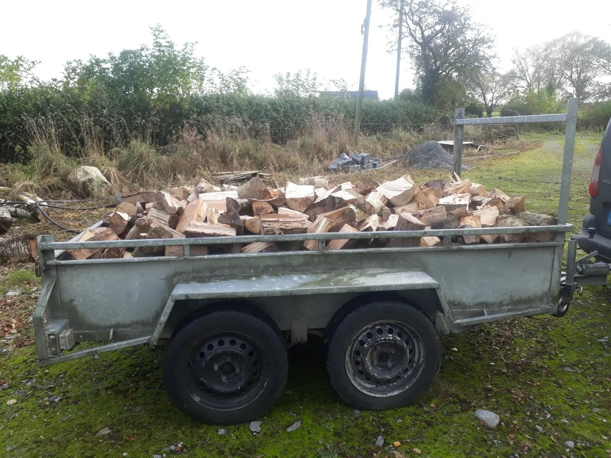 Firewood - Image 2