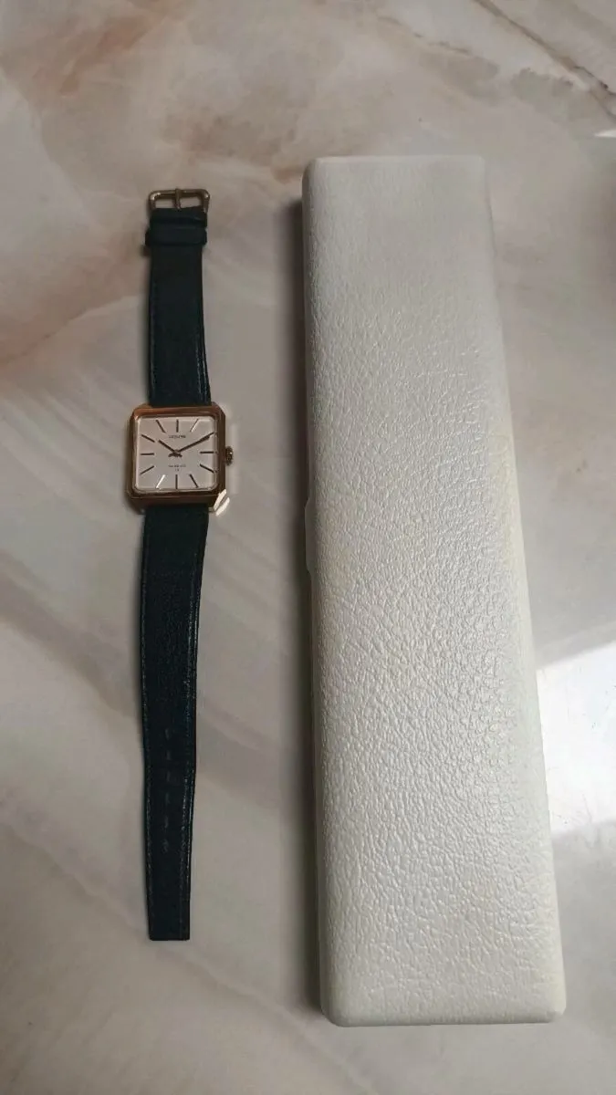 Provita Incabloc 17 men's dress watch, D18 post 6e - Image 2