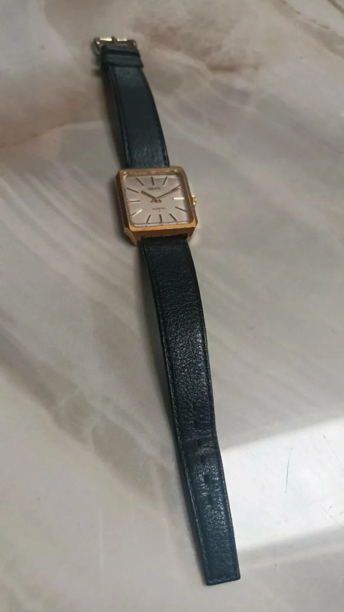 Provita Incabloc 17 men's dress watch, D18 post 6e - Image 3