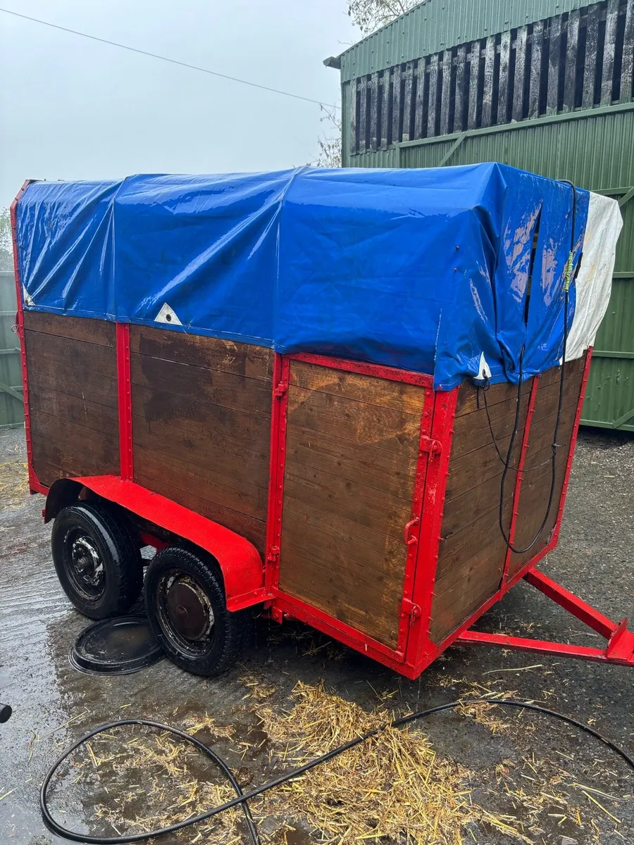 8ft x 4.5ft cattle trailer - Image 1