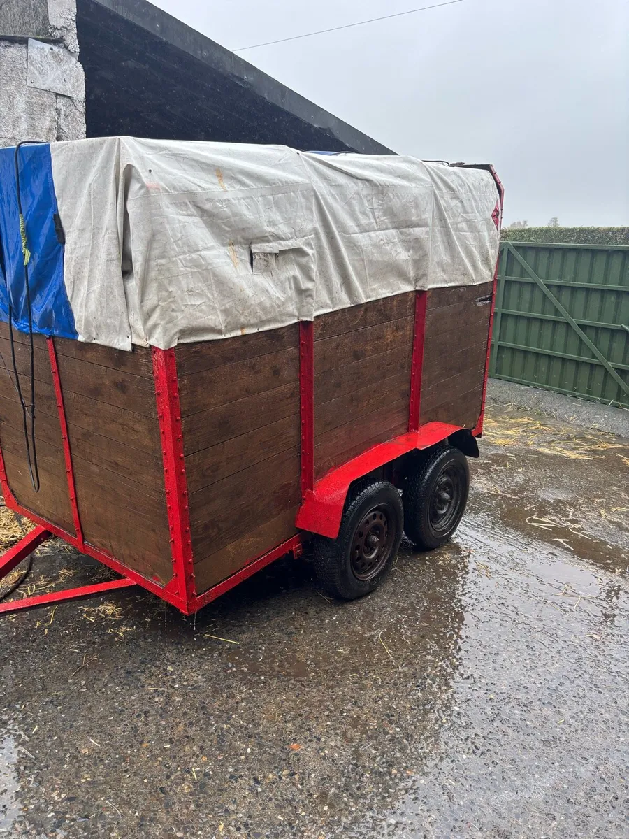 8ft x 4.5ft cattle trailer - Image 3