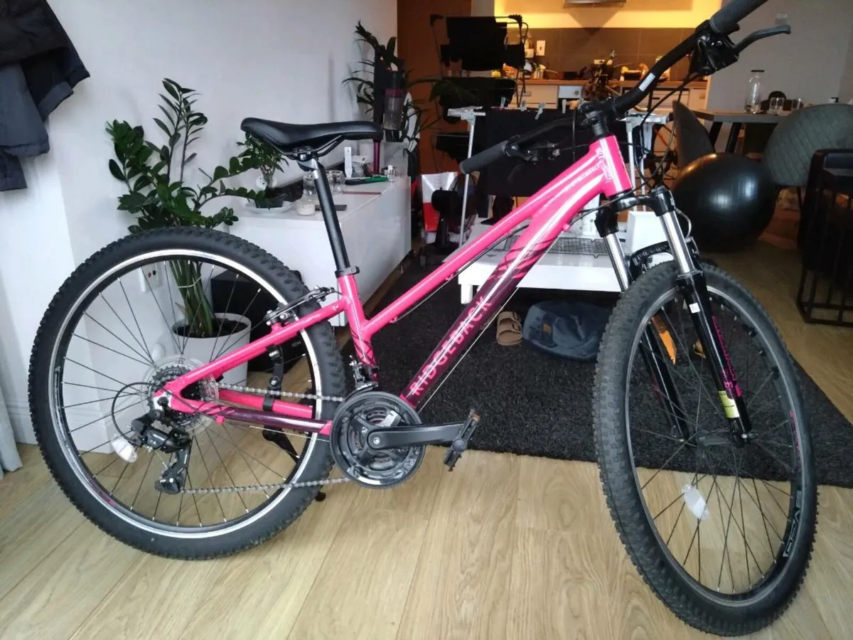 Ridgeback T-Two Junior Mountain Bike 13inch Frame - Image 1