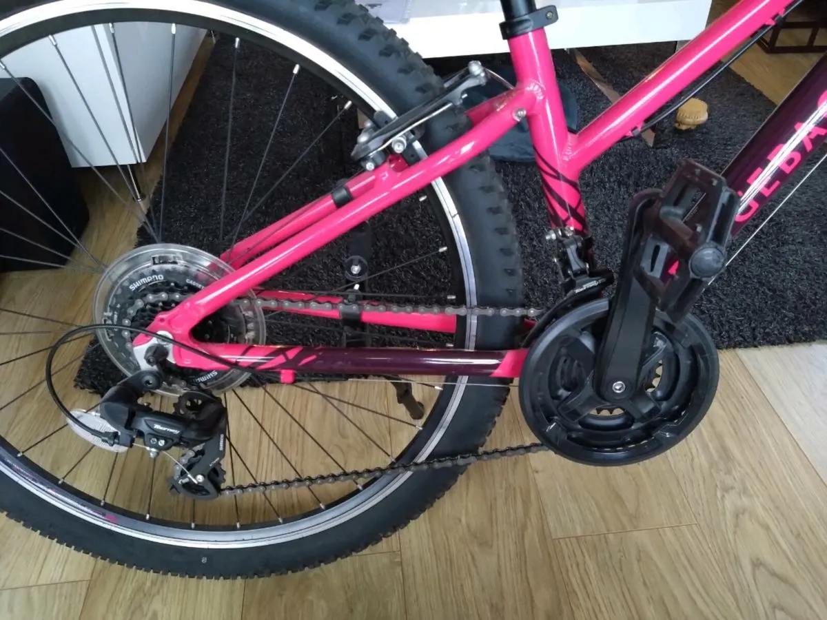 Ridgeback T-Two Junior Mountain Bike 13inch Frame - Image 3
