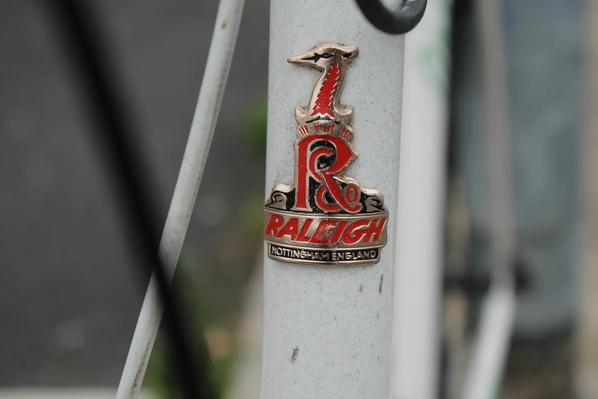 Raleigh Bike, Large - Image 1