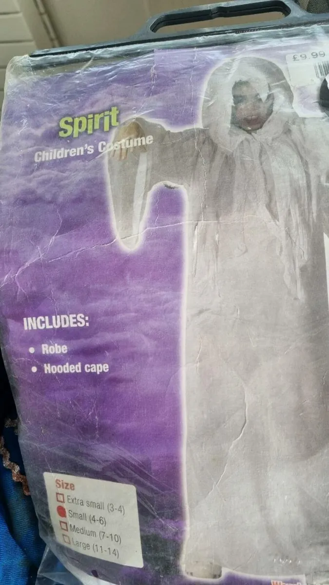 Spirit costume