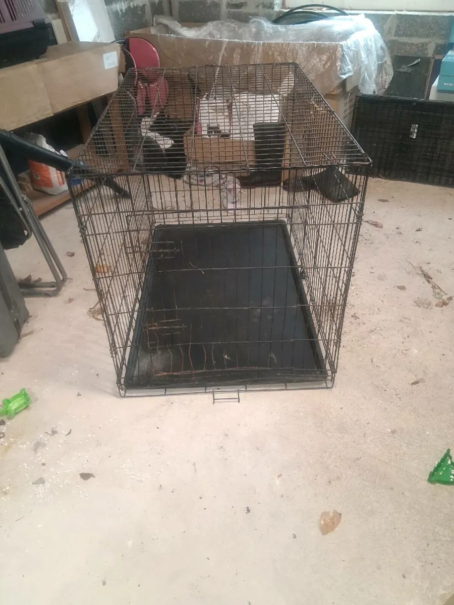 Dog crate - Image 1