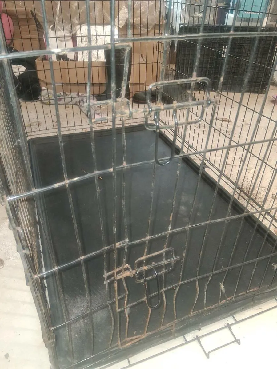 Dog crate - Image 2