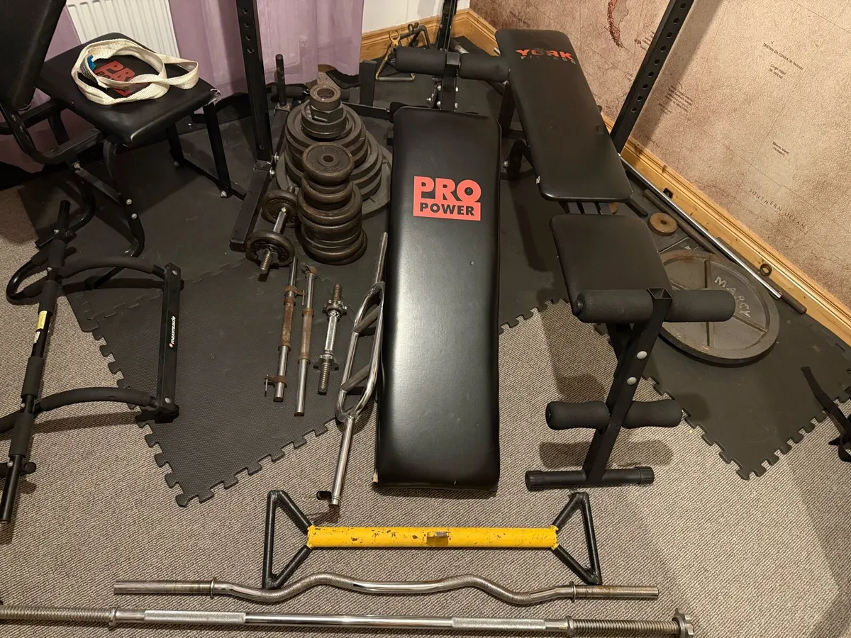 Gym equipment - Image 1