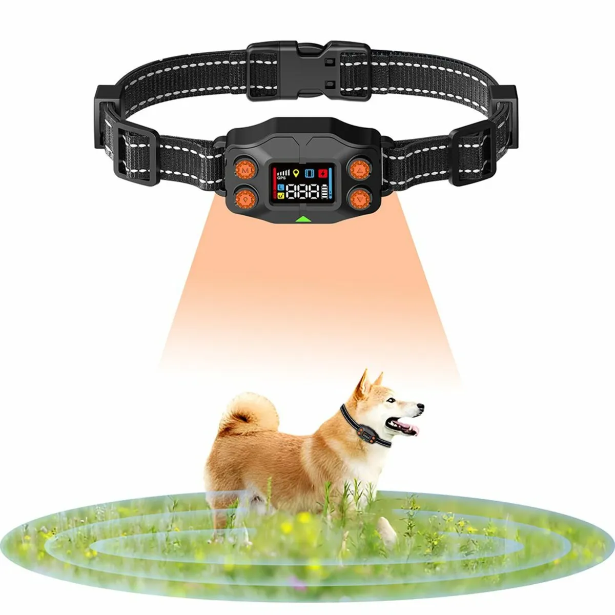 GPS Dog Fence - Image 4