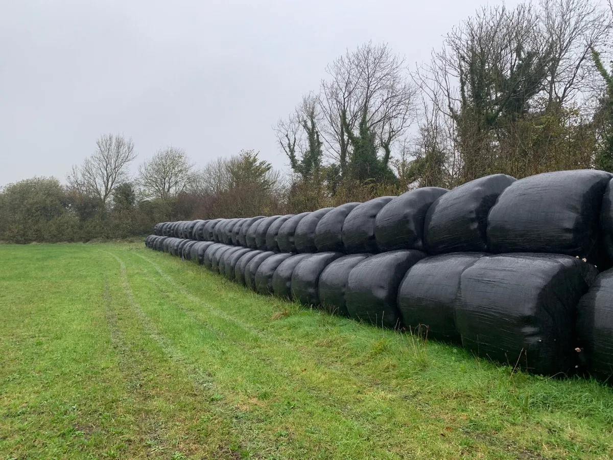 Haylage/silage - Image 1