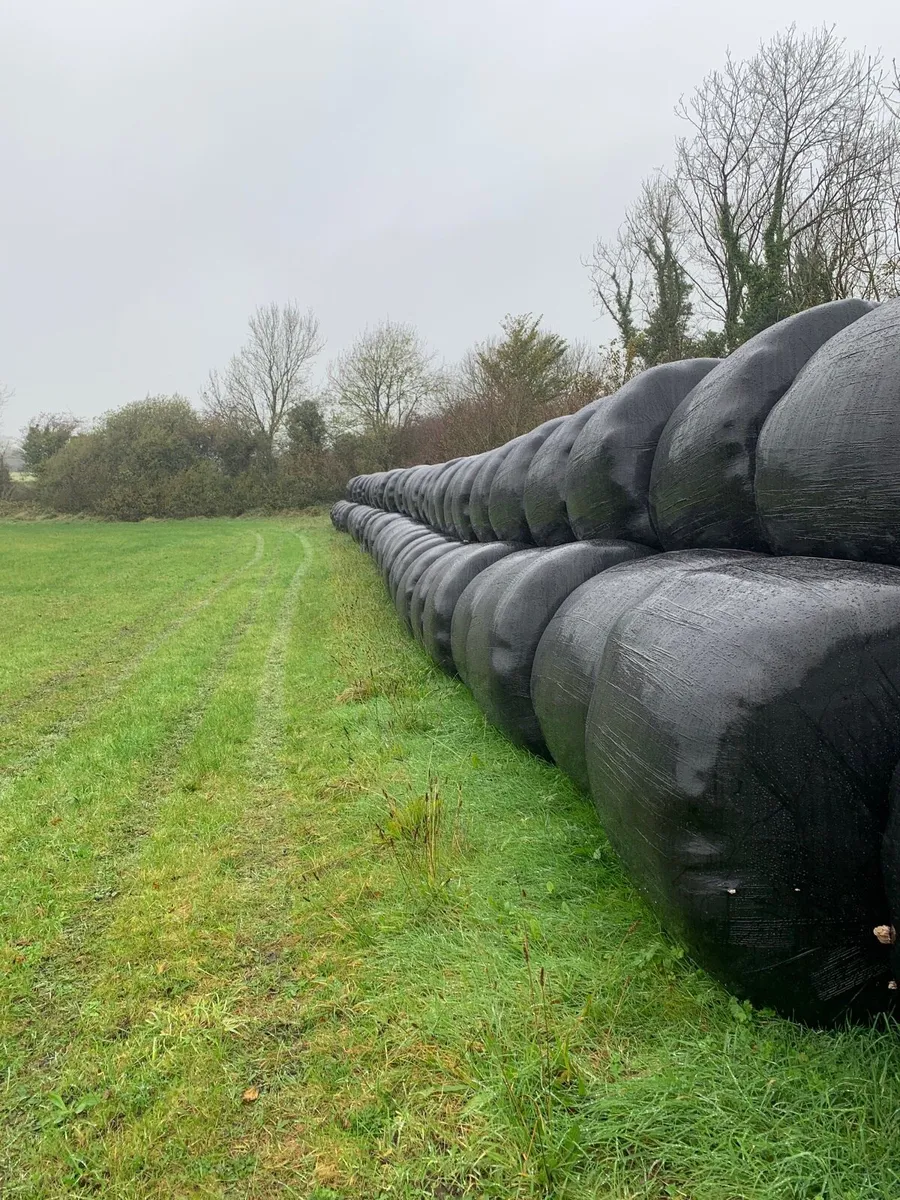 Haylage/silage - Image 2