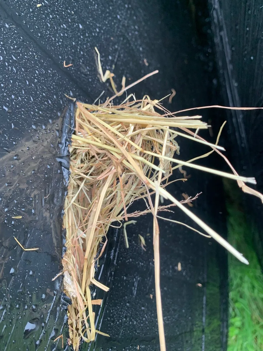 Haylage/silage - Image 3