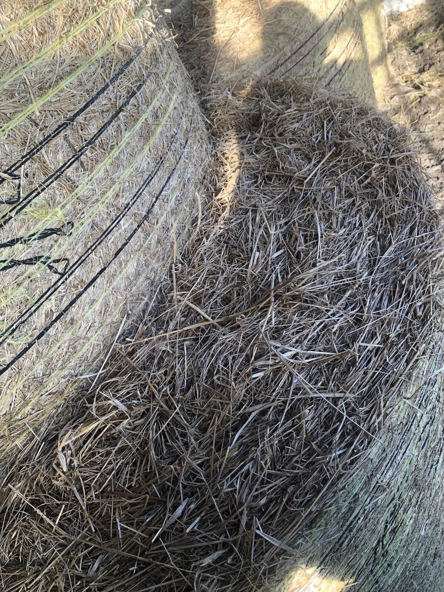 39 Hay bales - Image 2